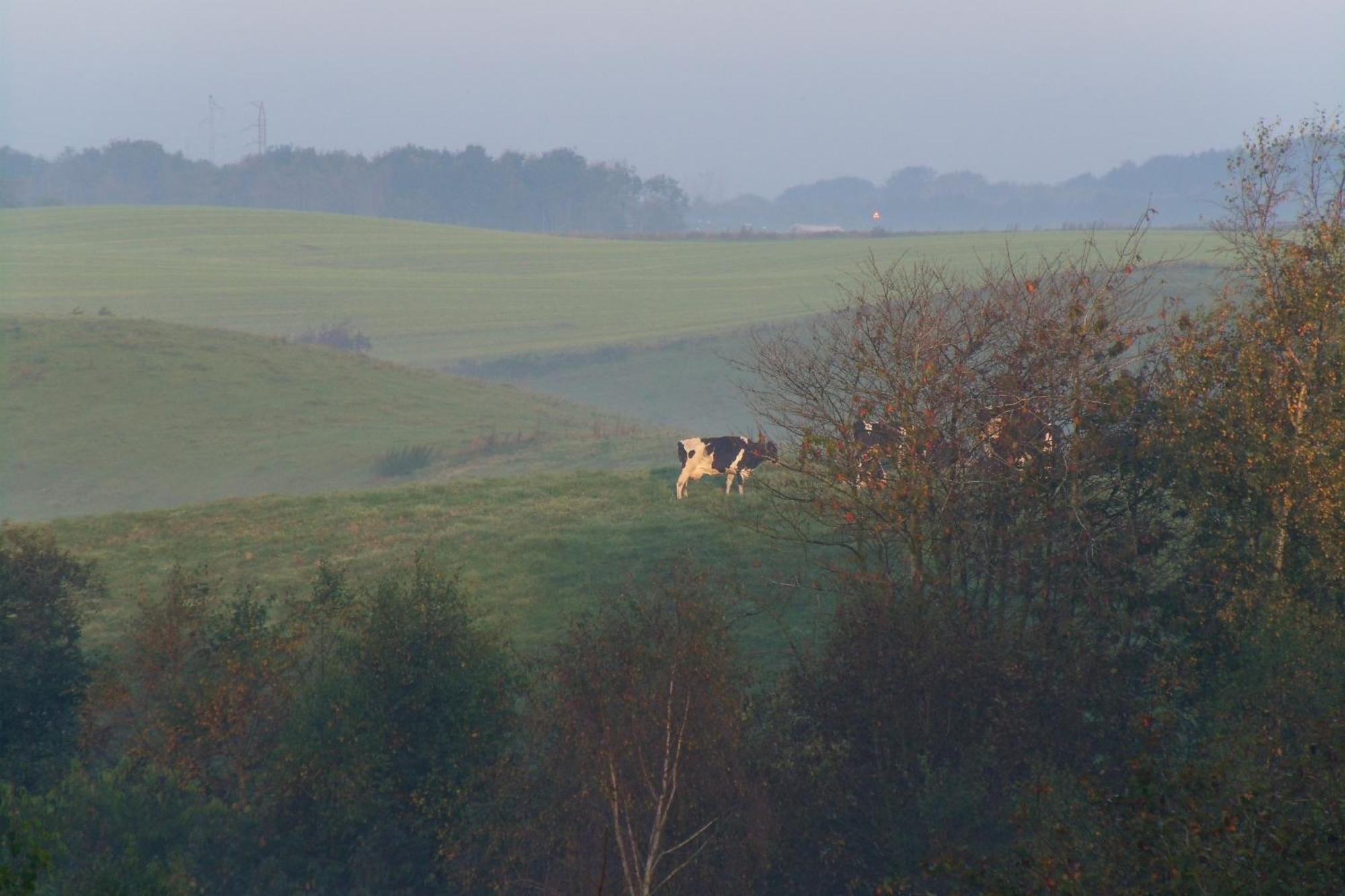 Natursti Silkeborg Bed & Breakfast Them Exterior foto